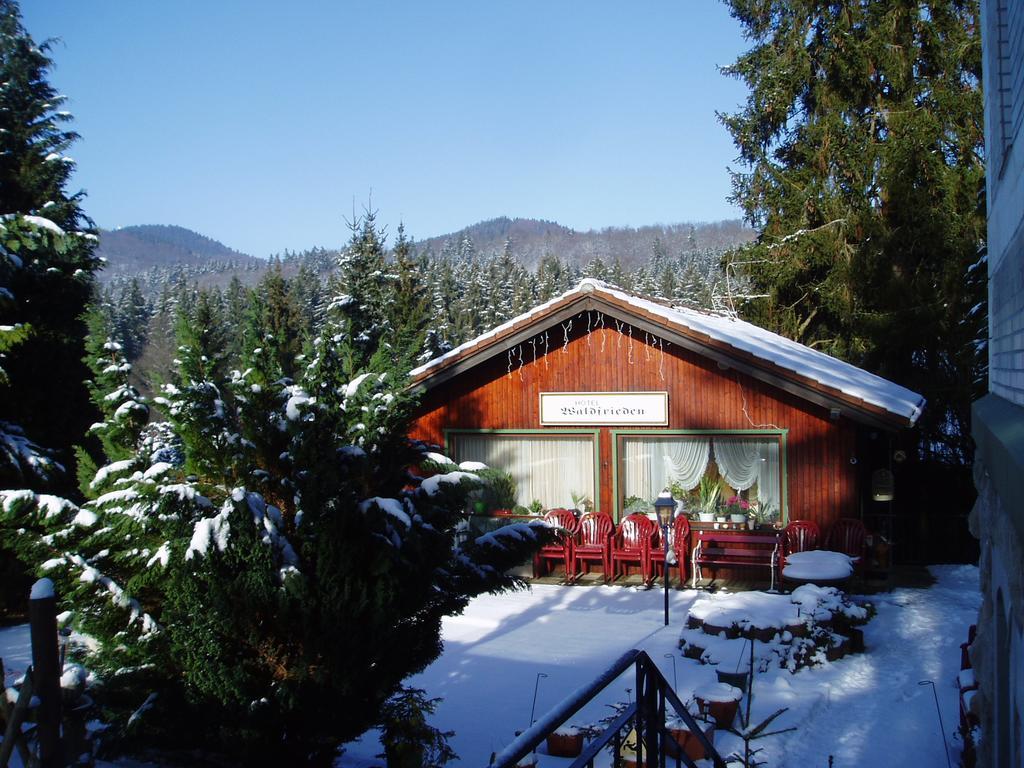Waldfrieden Guest house Bad Sachsa